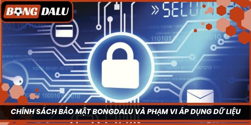 Chính sách bảo mật Bongdalu và phạm vi áp dụng dữ liệu hiện nay